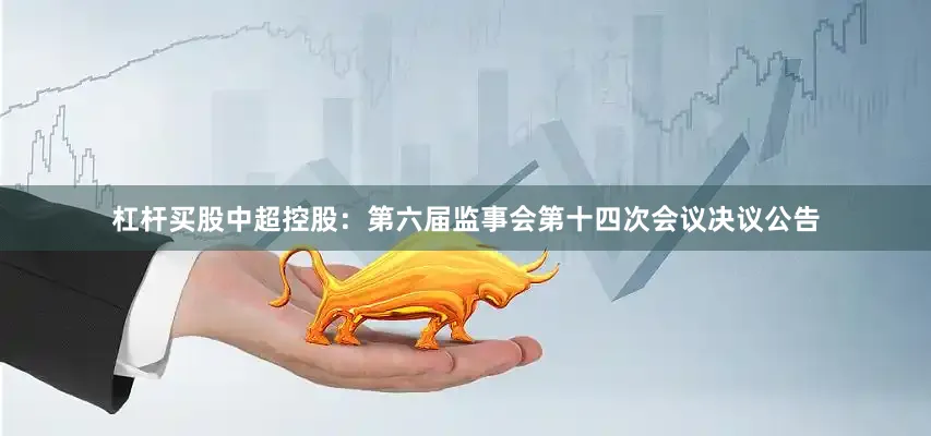 杠杆买股中超控股：第六届监事会第十四次会议决议公告