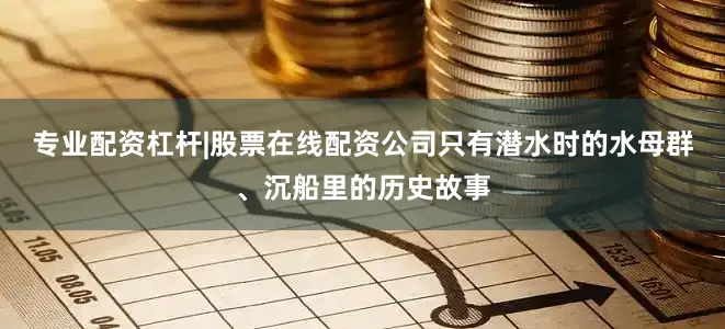 专业配资杠杆|股票在线配资公司只有潜水时的水母群、沉船里的历史故事