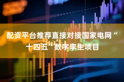 配资平台推荐直接对接国家电网“十四五”数字孪生项目